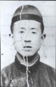 田树衡