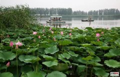 民间故事丨邓老爷逐客（上）
