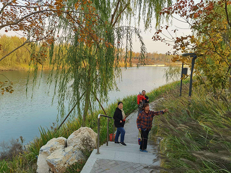 廊坊霸州风景图片