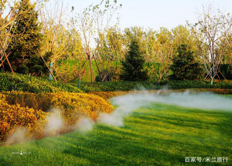 廊坊霸州风景图片