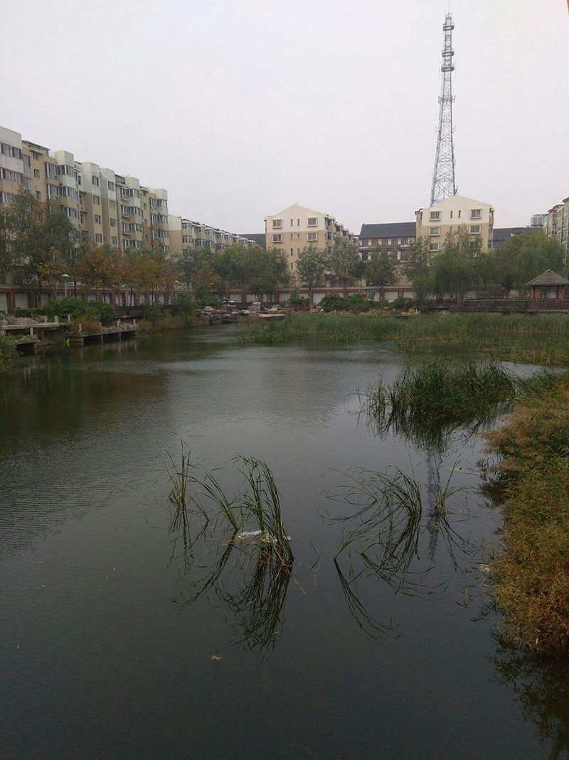廊坊霸州风景图片