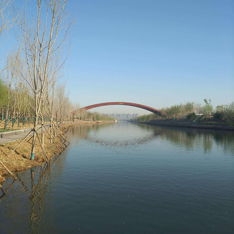廊坊霸州风景图片