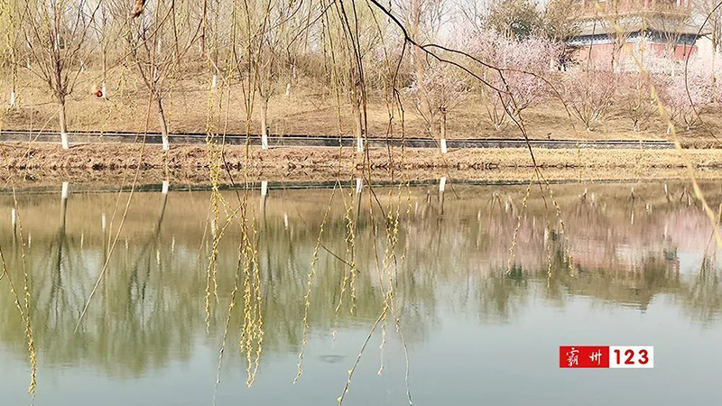 廊坊霸州风景图片