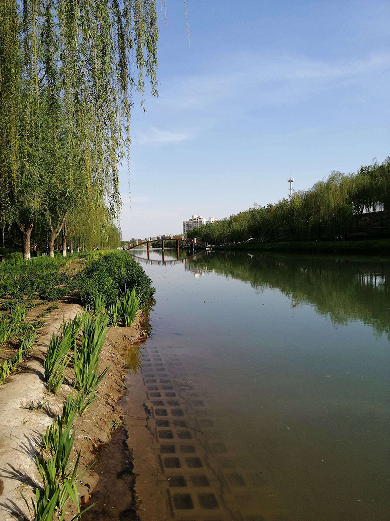 廊坊霸州风景图片
