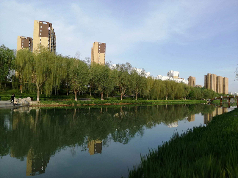 廊坊霸州风景图片
