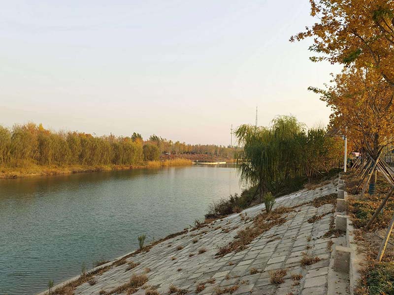 廊坊霸州风景图片