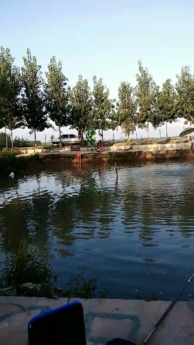 廊坊霸州风景图片