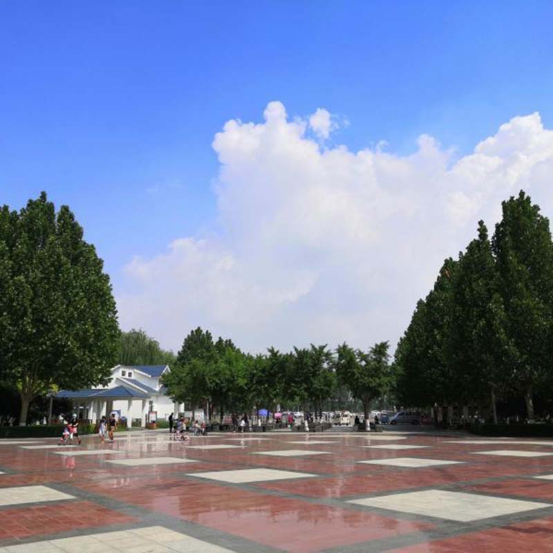 廊坊霸州风景图片