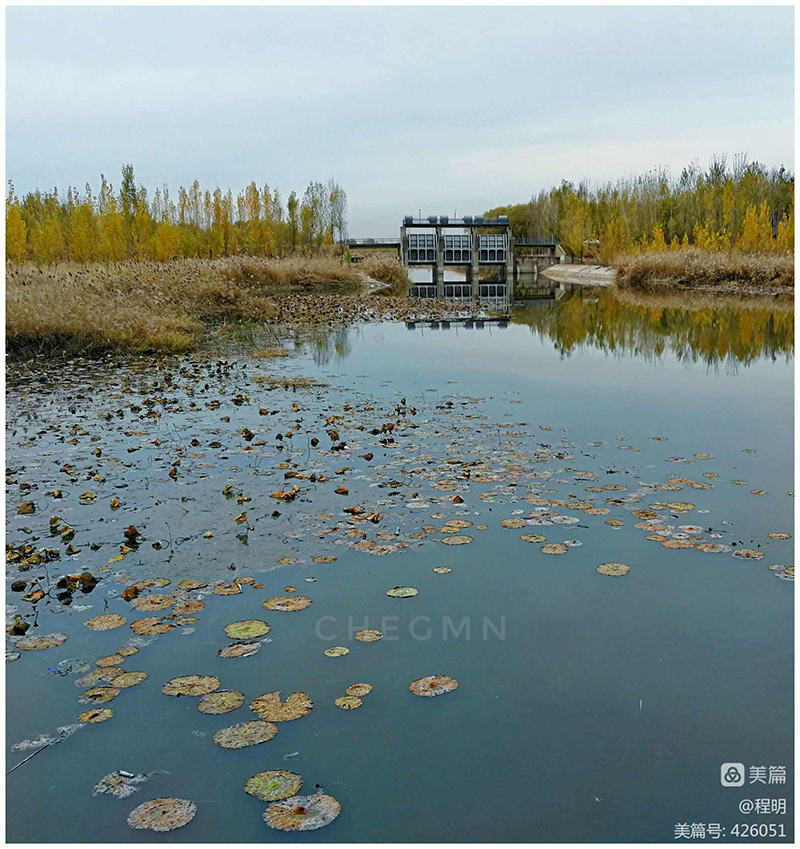 廊坊霸州风景图片