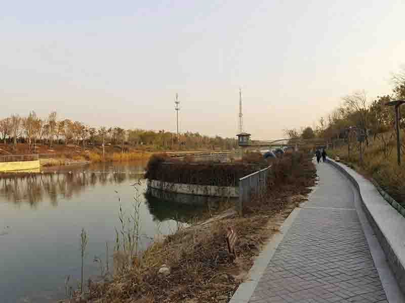 廊坊霸州风景图片