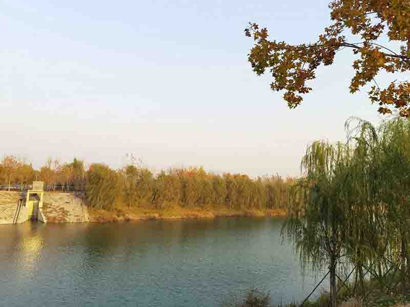 廊坊霸州风景图片