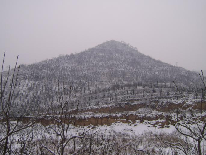 廊坊霸州风景图片